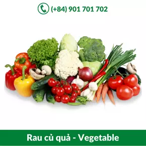 Rau củ quả - Vegetable_-06-11-2021-23-31-29.webp